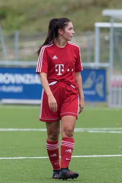 Bild 266 - F FSG Kaltenkirchen - SV Wahlstedt : Ergebnis: 6:1